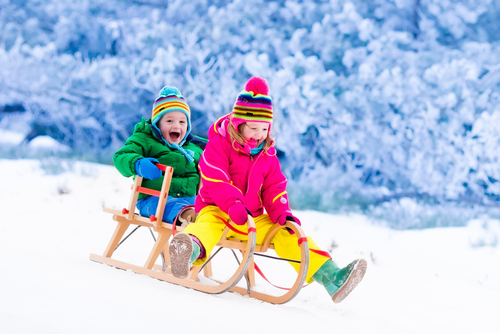 5 Best Snow Sleds for Kids - Best Kid Stuff